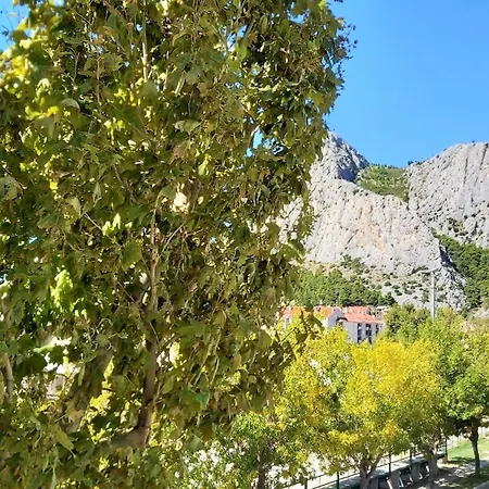 Punta
